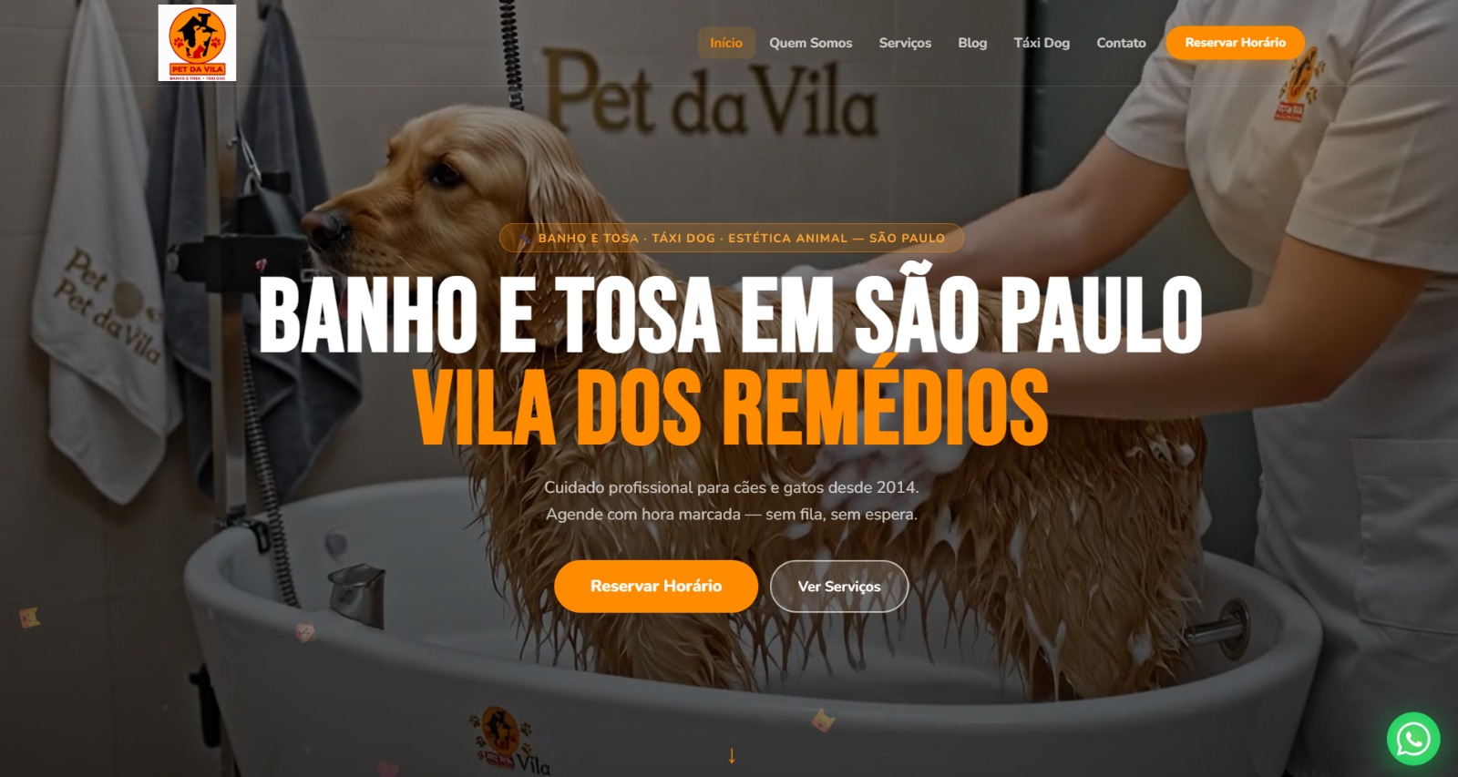 Pet d'Avila